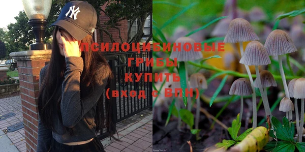 прущий лед Корсаков