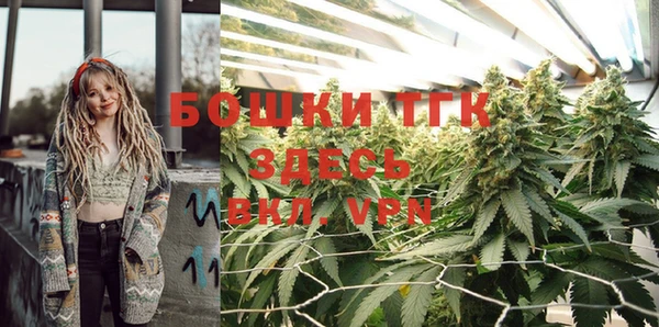 прущий лед Корсаков