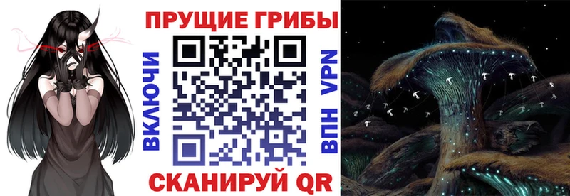 это какой сайт  Электросталь  Галлюциногенные грибы мицелий  как найти наркотики 