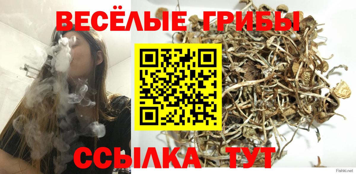 Электросталь  Псилоцибиновые грибы Cubensis  Вход с VPN 