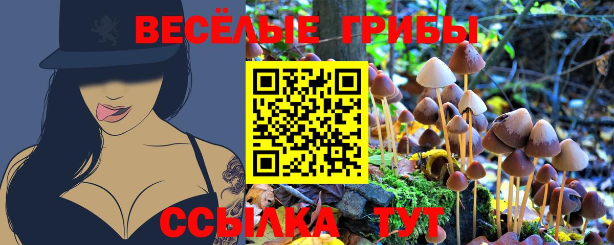 Псилоцибиновые грибы мицелий Электросталь